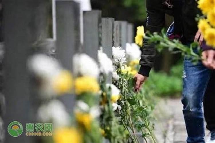 2025年清明节这天可以上坟吗