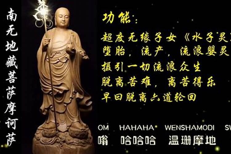 2007年猪是什么命 五行属什么
