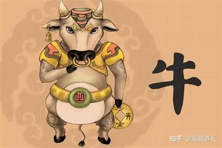 1975属兔女在2025年的每月运势