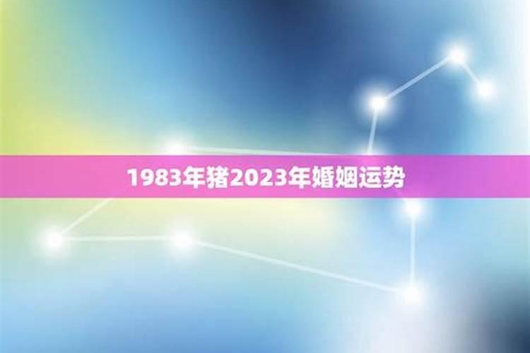 62年的虎什么时候退休