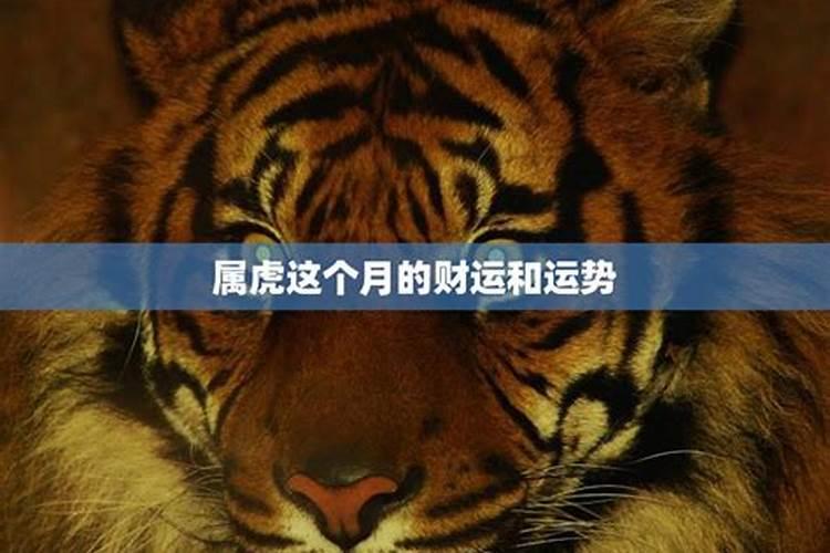 有上上上签吗