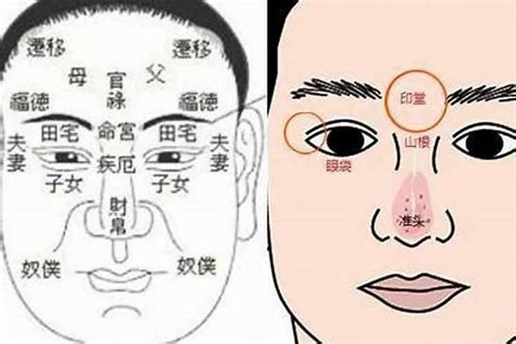 腊月龙男是什么命运