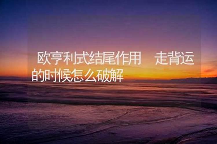 2024年属兔1963人的全年每月运势