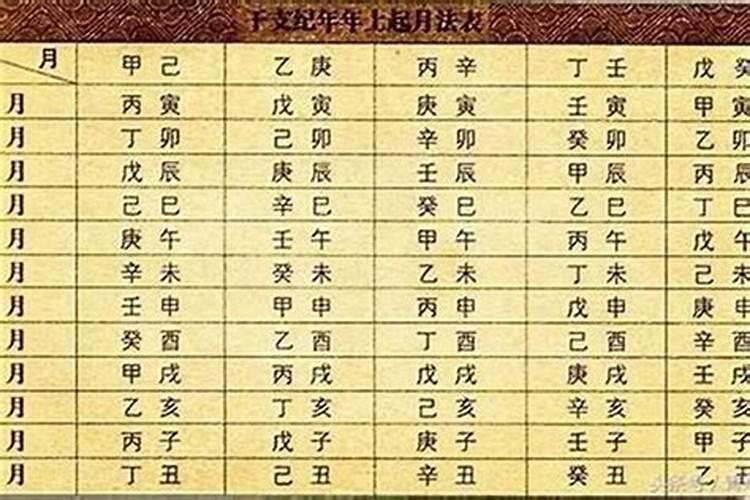 幼儿园大班冬至的由来教案
