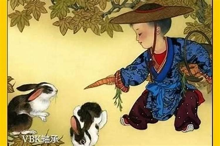 1987年属兔2025年运势如何