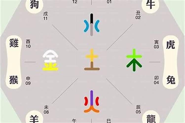 2025鼠财运怎么样 2025年鼠的财运如何