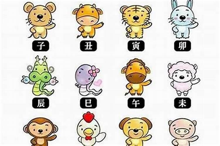 94年出生的29岁属狗人2023年全年运势及每月运势？