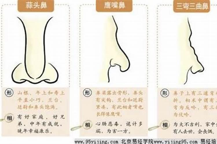 塌鼻子克夫吗婚后生活是否顺利
