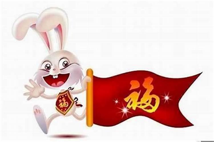 属兔五月出生命运如何