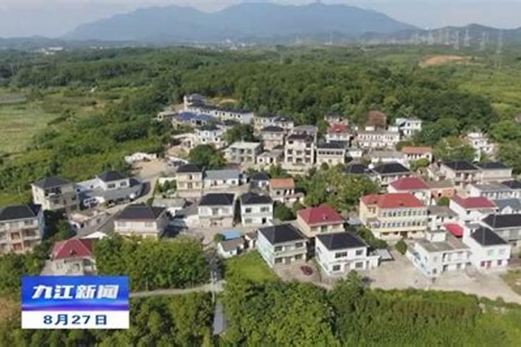 属马的六个合生肖是什么