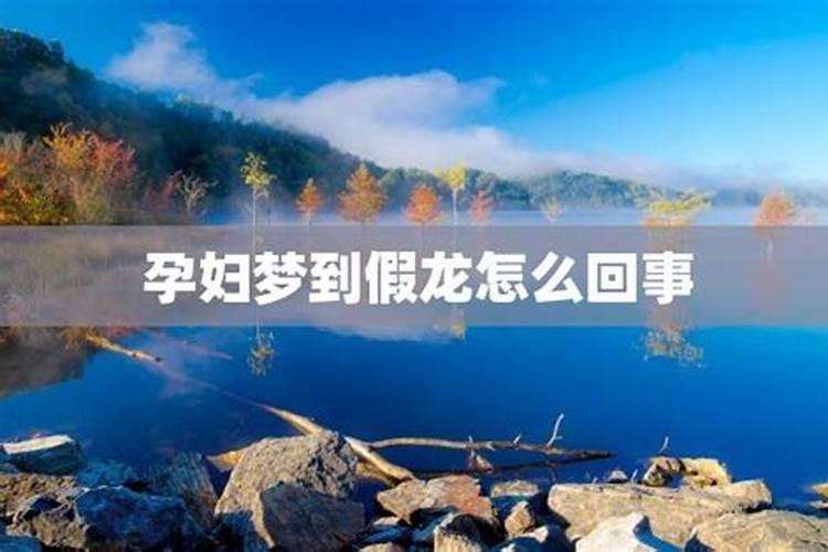 怀孕梦见蛇和龙是什么意思？