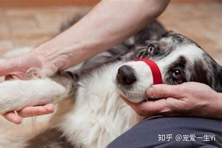 冬至是怎么来的？