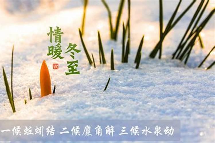 解梦梦见前妻