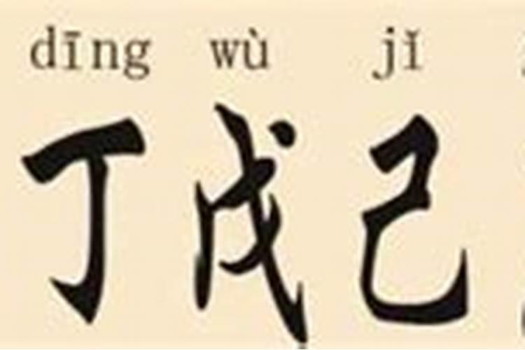 梦见坐车赶回家是什么意思？