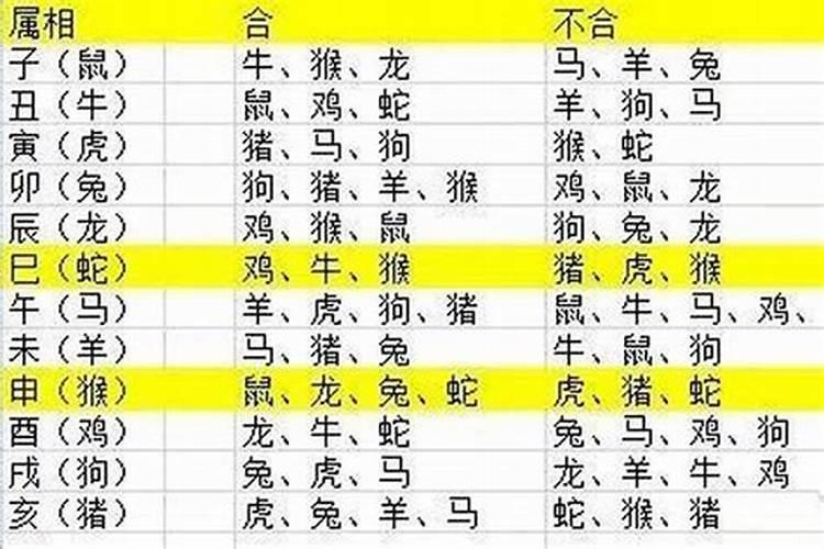 灵隐寺求姻缘步骤