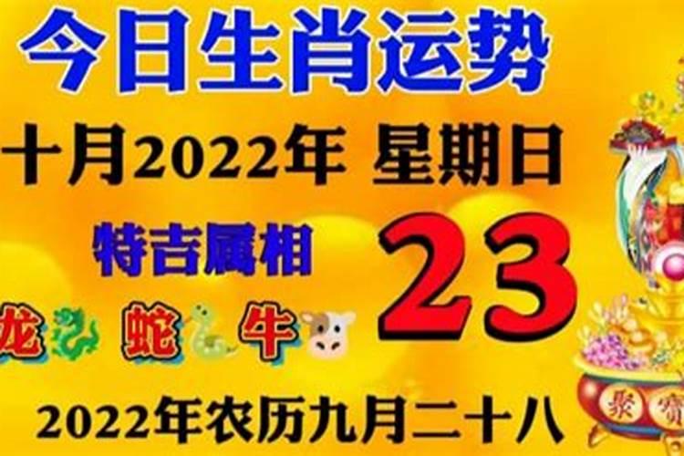 怎么知道自己的生辰八字