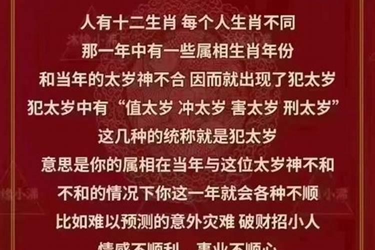 77年属蛇2025的运势及运程如何
