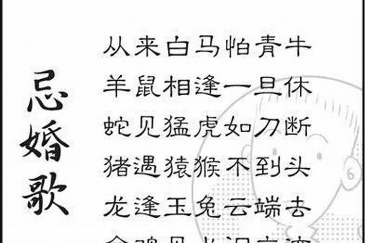 属猪的适合和哪些属相相配 不适合和那些相配