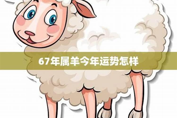 67年属羊男2025年全年运势