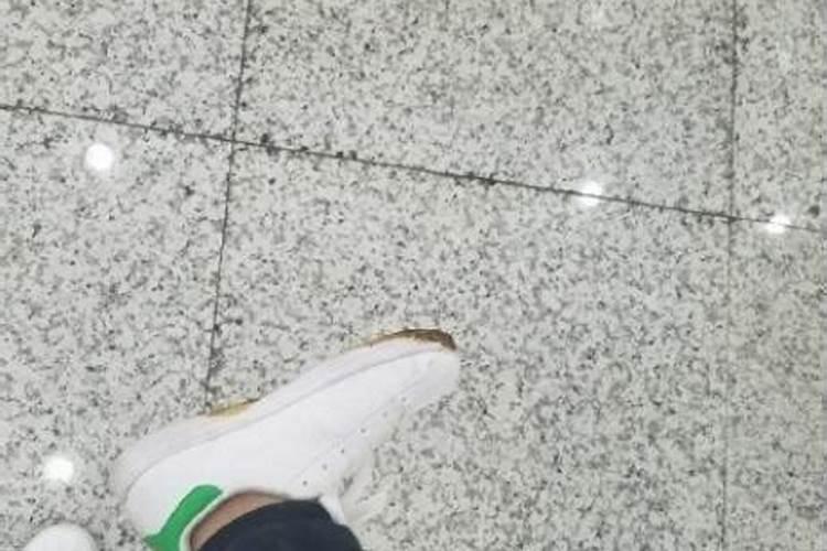 65出生的蛇今年每月运气