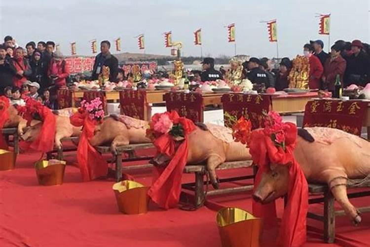 属猪2025年每月运势