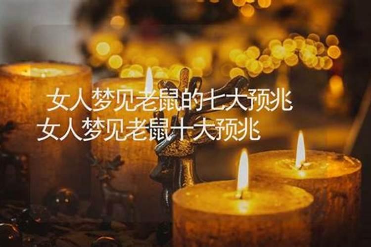 梦见很多老鼠到处乱跑是什么意思
