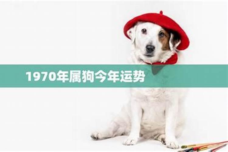 八字中七杀是什么意思