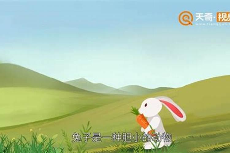 重阳节的节俗有哪些