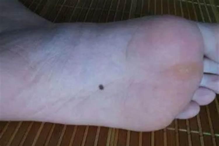 梦见乌龟下蛋什么意思周公解梦