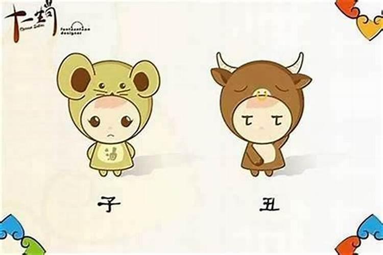 为什么说龙鼠不结亲