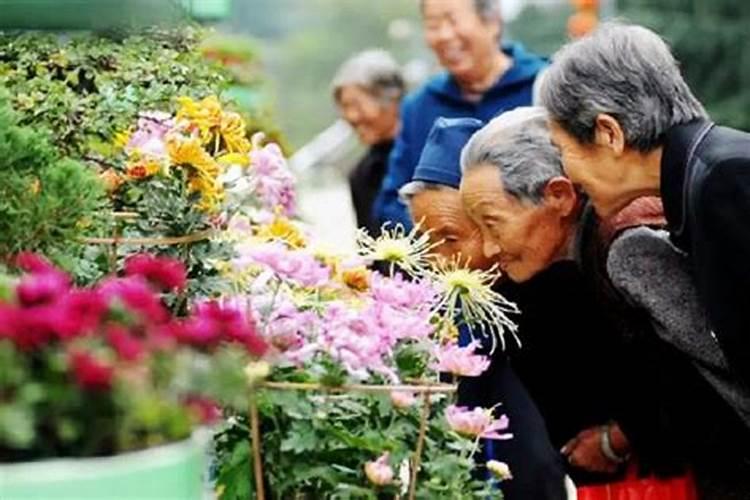 属虎的2025年犯太岁吗