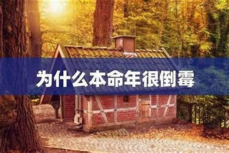 正月十五出生女宝宝好吗