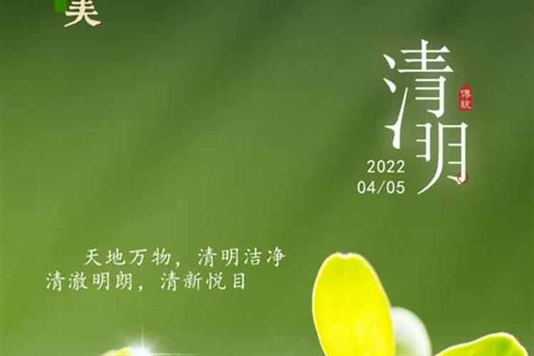 立春南北方分别吃什么食物