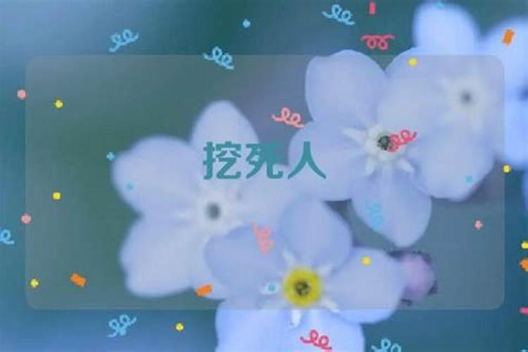梦见自己试穿红衣服
