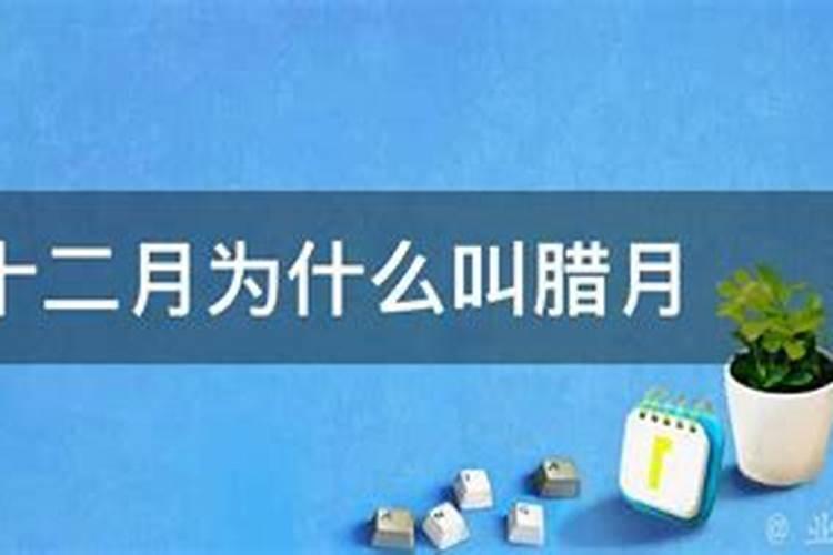 阴债怎么查怎么还