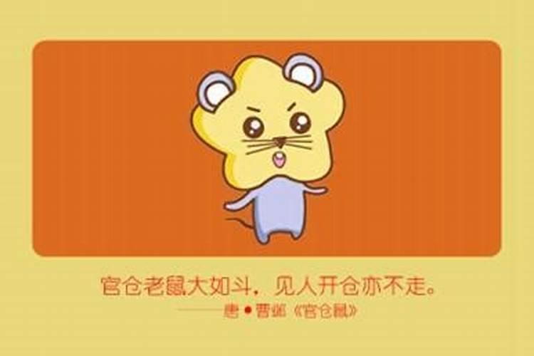 鼠和龙在一起对谁不利鼠龙相配吗？