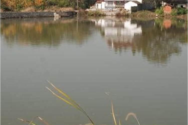 太湖石摆放风水
