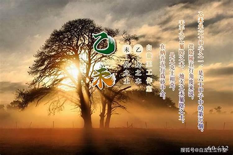 乙未日柱人的命运解析？
