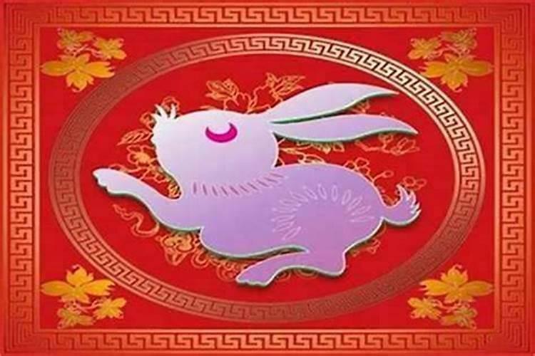 兔年不适合结婚吗 属兔本命年的结婚注意事项