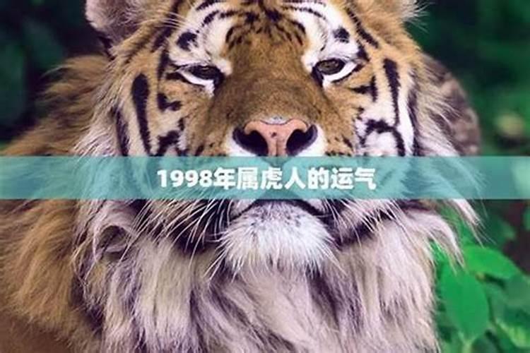 梦见出事故自己没事朋友死了的预兆