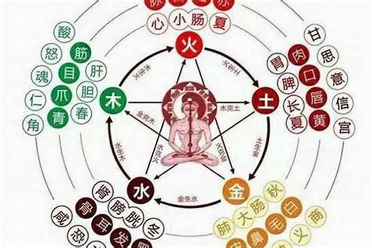 85年属牛哪年运气最好85年属牛在哪一年运气会好
