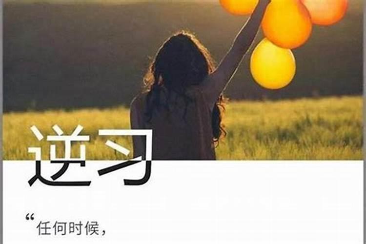 梦见两只死老鼠的预兆
