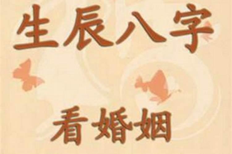 2025属龙人全年12个月运势如何