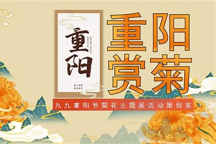 重阳节学校开展什么教育活动