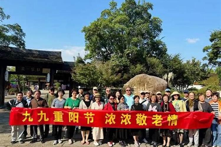 重阳节小学生可以组织什么活动