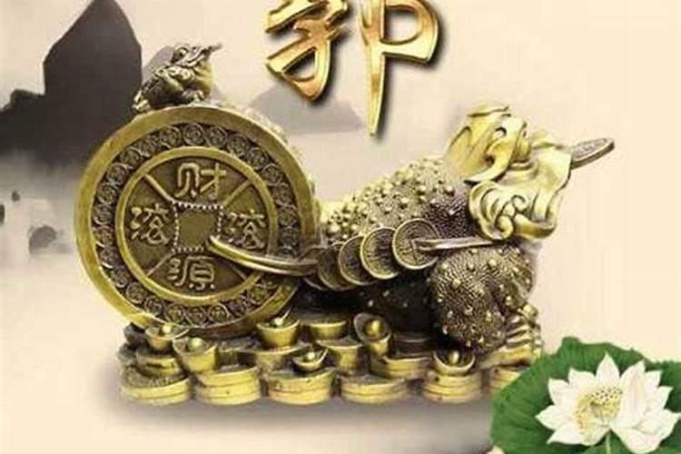 属鼠和属猪的相配吗 鼠猪能过一辈子吗