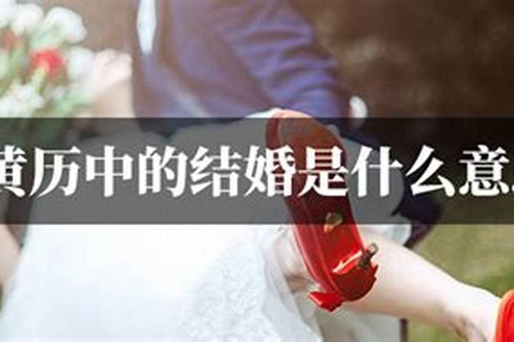 我梦到鱼 狗蛇 乌龟 鳄鱼 鸟特别奇怪的梦。怎么解释？(内详)