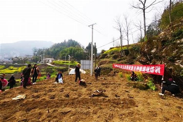 自从家里贴了符以后,我就开始头晕无力,难受得要死,急求专业人士解答...