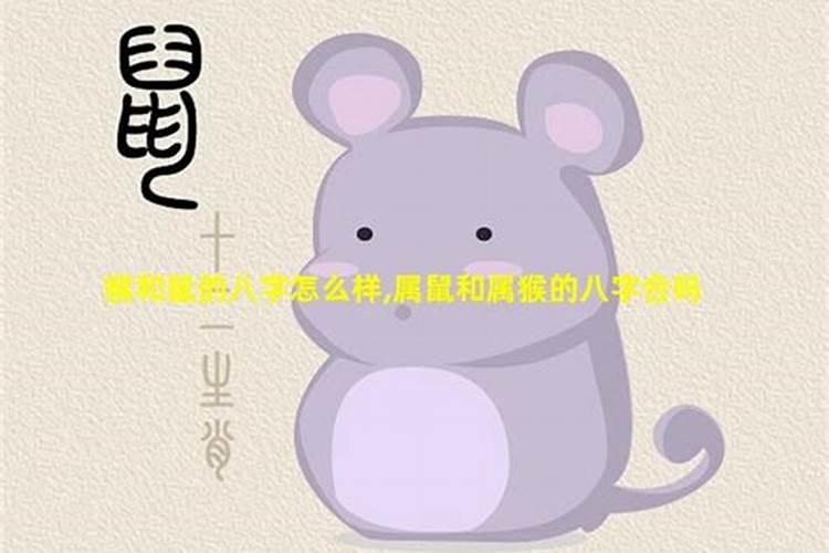 八字相合是什么意思？