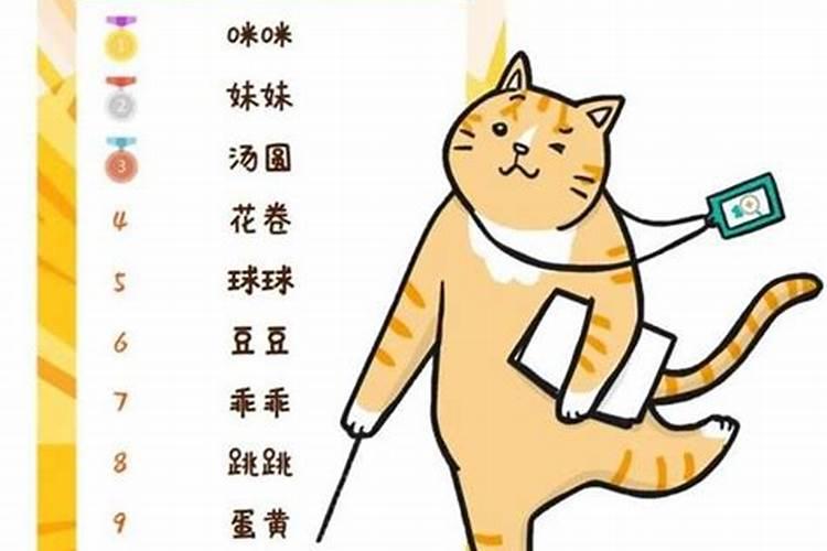 100个招财好名字猫,给主人带来好运的猫名字